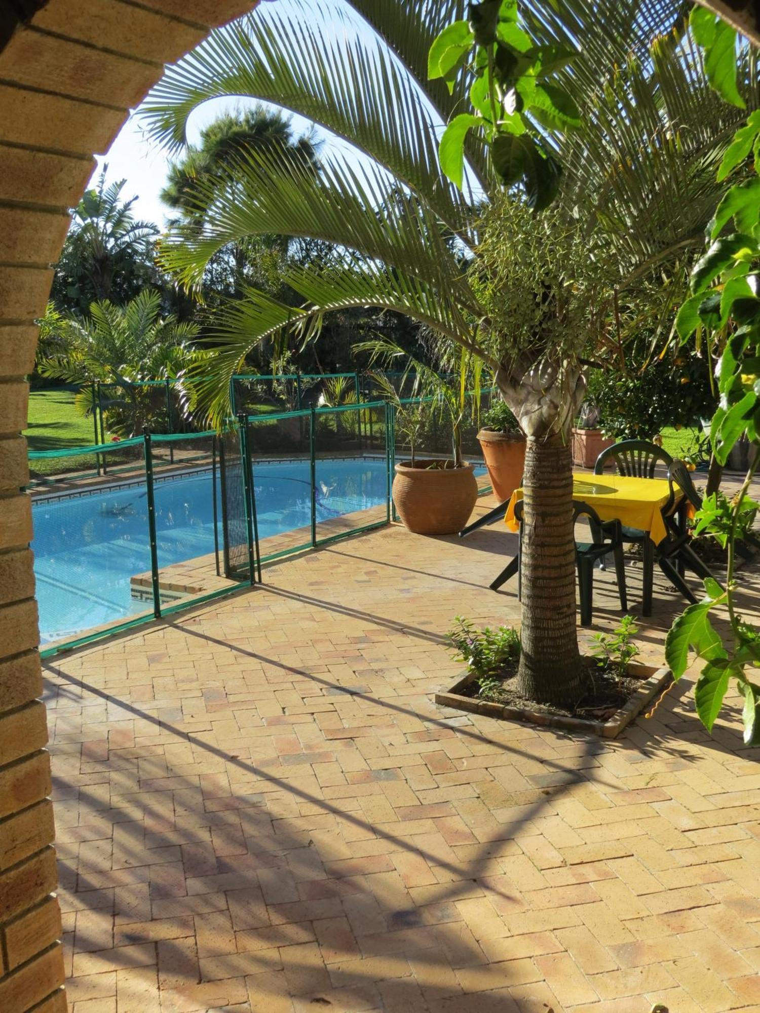 Cape Oasis Guesthouse بلوبيرجستراند المظهر الخارجي الصورة